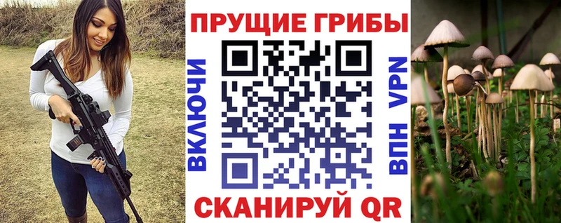 Купить Кирс Галлюциногенные грибы мицелий